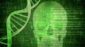 Animation of 3d green glowing dna strand spinning and data processing over human skull. global medicine, science and genetics concept digitally generated video. - Powered by Shutterstock - Get 15% off with code: PIKWIZARD15