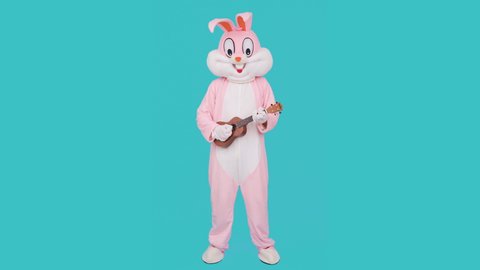 Guitar player or guitarist is playing music by ukulele. Easter bunny or rabbit or hare celebrates Happy easter, dancing, plays music by Hawaiian guitar