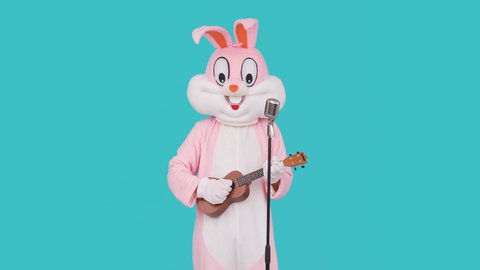 Singer guitarist is playing music by ukulele or Hawaiian guitar, sings song to retro vintage classic microphone. Easter bunny or rabbit or hare celebrates Happy easter.
