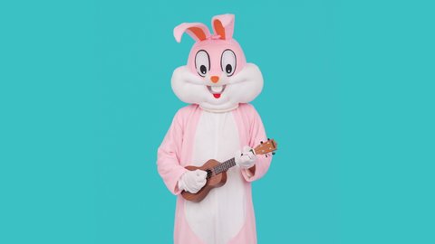 Crazy guitarist is playing music by ukulele or Hawaiian guitar. Easter bunny or rabbit or hare celebrates Happy easter, plays music by instrument.