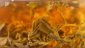 Super Slow Motion Shot of Pouring Tea into Tea Pot at 1000 fps - Powered by Shutterstock - Get 15% off with code: PIKWIZARD15