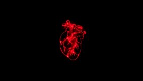 Red Neon Animation of a Heart That Beats and Lights up. Human Circulatory System Heart Beat Anatomy Animation Concept.