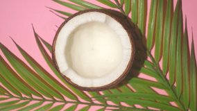 Coconut rotates on a pink background. Minimal art food video. Tropics, summer, vacation concept.
