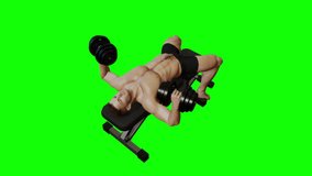 3D Animation 4K Video showing Bodybuilding exercise at gym, Muscular man doing Dumbbell Bench Press workout on a green screen background chroma key.