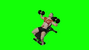 3D Animation 4K Video showing Bodybuilding exercise at gym, Muscular man doing Incline Dumbbell Bench Press workout, anatomy of muscles highlighted in red on a green screen chroma key.