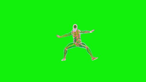 Athlete Capoeira Performer, Seamless Loop, Green Screen Chromakey, x ray