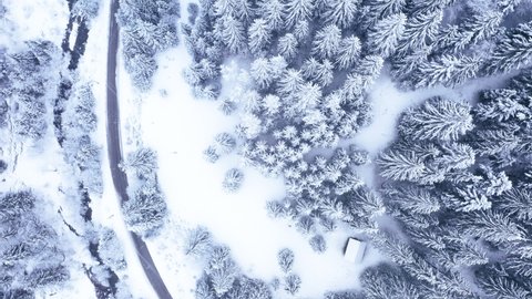 Aerial top view drone shot of the winter forest landscape forest covered with snow in the Tatra Mountains with a countryside rural road and moving car. Transportation and nature 4K concept footage. స్టాక్ వీడియో