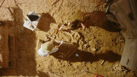 Top-Down View: Two Great Paleontologists Cleaning Newly Discovered Dinosaur Skeleton. Archeologists on Excavation Site Discover Fossil Remains of New Species. Archeological Digging Site