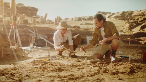 Archaeological Digging Site: Two Great Paleontologists Cleaning Newly Discovered Dinosaur Bones. Archeologists on Excavation Site Discover Fossil Remains of New Species Skeleton. Slow Motion Zoom Out
