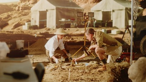 Archaeological Digging Site: Two Great Paleontologists Cleaning with Brushes Newly Discovered Skeleton of Prehistoric Dinosaur. Archeologists on Excavation Site Discover Fossil Remains of New Species