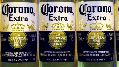 Vintage Typographic Decorative Ornament Design Elements Stock Vector Royalty Free 1891928920