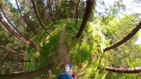 360 VIRTUAL REALITY: Fit young sportsman goes trail running through the picturesque forest on a sunny spring day. Cool shot of athletic man jogging in the scenic woods on a warm summer afternoon.