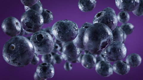 Flying of Blueberries in Purple Background