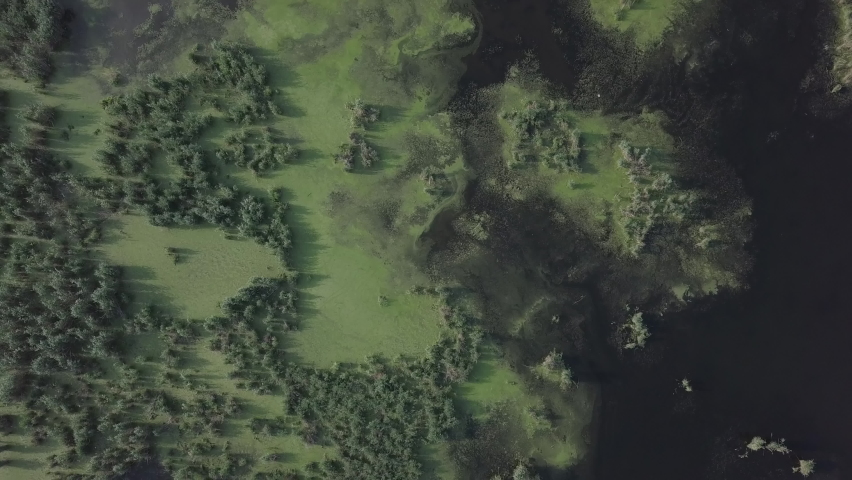 flight over a large swamp
