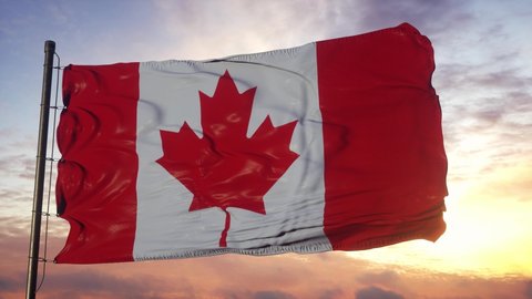 Flag of Canada waving in the wind against deep beautiful sky at sunset