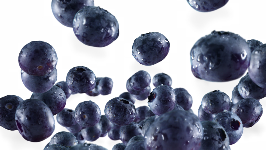 Flying of Blueberries in White Background with Alpha Channel | Shutterstock HD Video #1067324182