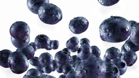 Flying of Blueberries in White Background with Alpha Channel