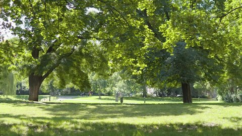 A park with beautiful trees and green grass in an urban area on a sunny day