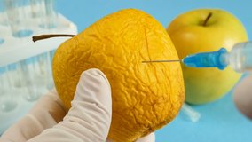 apple in genetic engineering laboratory with syringe and test tubes on blue background, gmo food concept, closeup - Powered by Shutterstock - Get 15% off with code: PIKWIZARD15