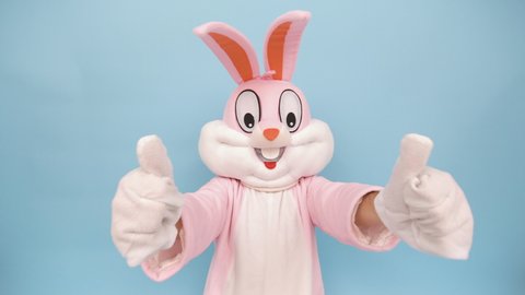 Man or boy in a easter bunny or rabbit or hare costume congratulations on Happy Easter, rejoices, shows thumb fingers up to camera