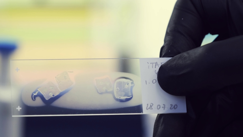 A close-up of a transparent sample for microscopic analysis