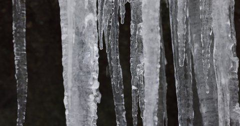 Closeup of icicles melting dripping water