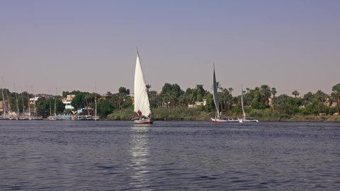 Egyptian felucca boat sailing along the Nile River in Aswan, 4k