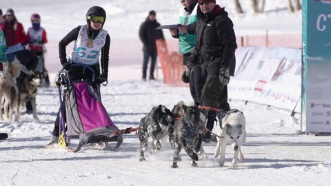 Female child mushing sled dog team, running on snowy race distance during Kamchatka Kids Competitions Dog Sled Racing Dyulin Beringia. Petropavlovsk City, Kamchatka Peninsula, Russia - Feb 20, 2020