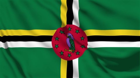 Dominica flag is waving 3D animation. Dominica flag waving in the wind. National flag of dominica. flag seamless loop animation. 4K