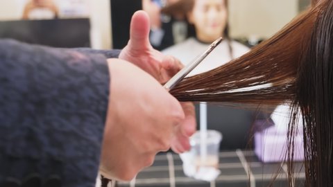 Professional male stylist cutting woman's hair in salon. The man hairdresser using scissors cut the young Asian girl sitting in the shop looking at mirror with smile. Beauty salon business concept.