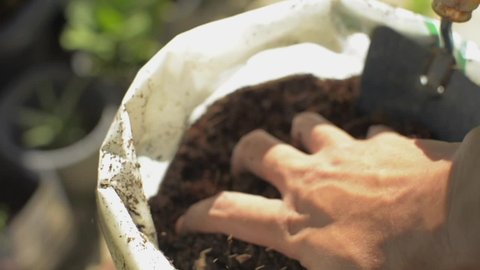 Hand of male gardener holding and touching organic soil from the plastic bag for checking the quality before planting. Natural fertilizer and compost. Agriculture and cultivation concept.
