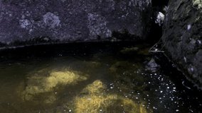 transparent golden colored water flowing between stones in small mountain river