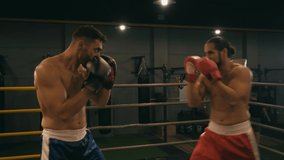 shirtless hispanic and bearded boxers fighting on boxing ring