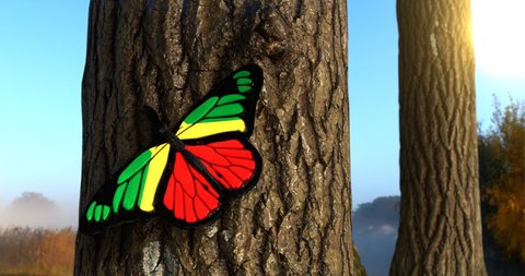 Flag of the Congo on Butterfly Wings Realistic 4K UHD 60FPS
