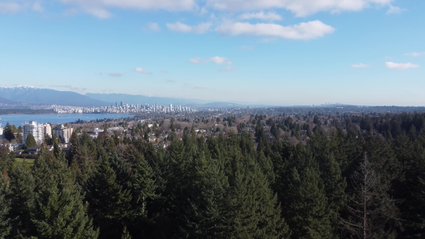 Closing shot of Vancouver downtown with green spruce trees in front