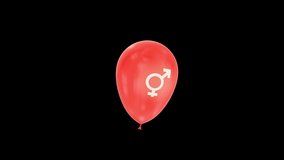 LGBT Symbol Loop Animation Balloon with QuickTime Alpha Channel Prores 4444. NOT: Color, Resolution and Quality in the preview video may not be good because of very low size and Resolution.