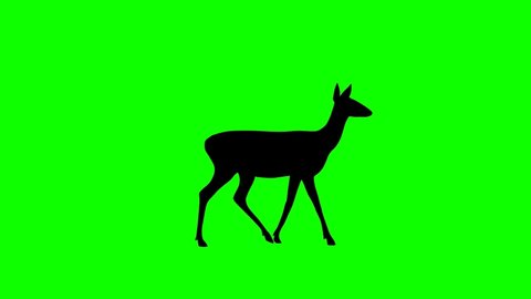 Silhouette of the roe deer, animation on the green background