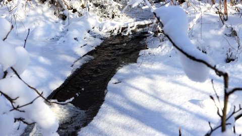 forest stream flows in nature against the background of thawed snow. Concept early spring, late winter