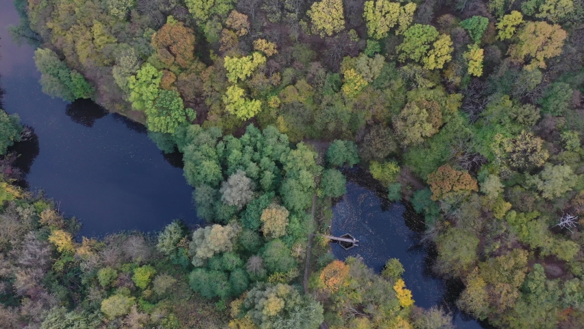 view from above on autumn trees in yellow in the park and lake
