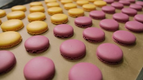 Chef makes of a macaroons, prepared on the baking sheet to bake them.
