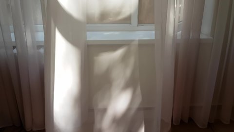 Blurred shadows at white curtain on window, gently moved by wind. Sun rays shine through transparent tulle. Tranquil background with swaying sheer textile texture in sunlight