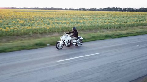 Motorcyclist rides on superbike on the road along a field of sunflowers. Summer evening. Vacation, travel, tourism, lifestyle. Drone footage.