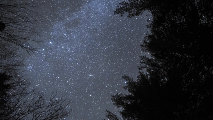 Rotating Time Lapse Of Milky Way And Winter Night Sky, Silhouette Of Trees In Natural Landscape