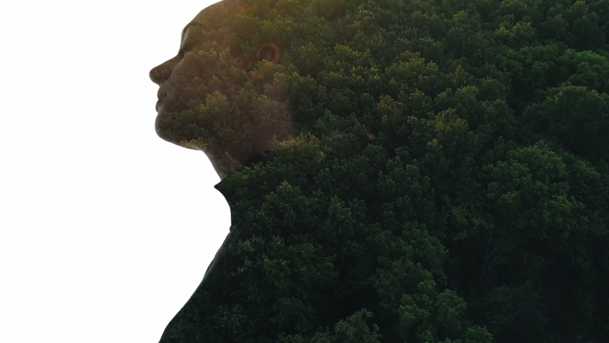 Double exposure silhouette. Nature harmony. Freedom inspiration. Hope daydreaming. Aerial view forest with sunset skyline in peaceful woman outline isolated on white empty space background. Royalty-Free Stock Footage #1067569580