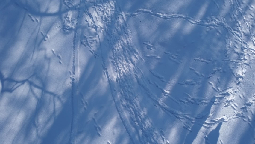 Aerial view of a drone flying over the winter park.