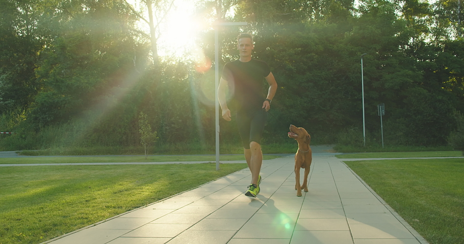 Silhouettes of runner and dog on city street under sunrise sky in morning time. Outdoor walking. Athletic young man jogging, working out with his dog are running in town. 4K video SLOW MOTION
 | Shutterstock HD Video #1067575532