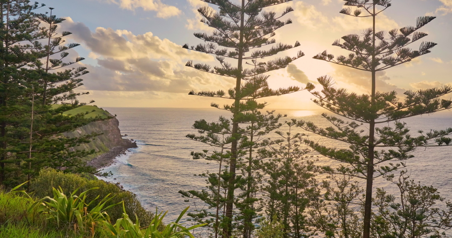 Time lapse of sunset behind Norfolk Island Pine trees and coastal cliffs and shoreline, Norfolk Island, australia