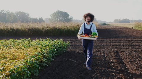 Cheerful Multiracial Farmer Holding Different Vegetables and Looking in Camera. Adult Joyful Farm Worker Carrying Harvest Basket. Fast Delivering, Transportation, Production, Supply, Cargo.