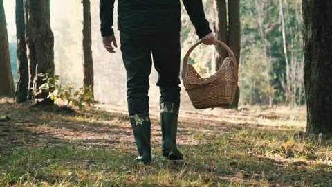 a man mushroomer in military camouflage boots walks through the forest with a wicker basket and picks up mushrooms