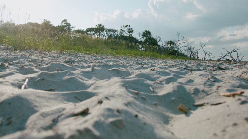 Charleston South Carolina Beach Houses at Sunset as Waves Wash over Sand
